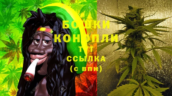 молекула духа Гусиноозёрск