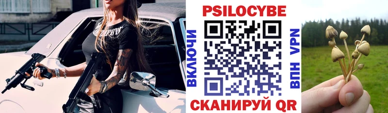 Псилоцибиновые грибы прущие грибы  Купить  Рыльск 